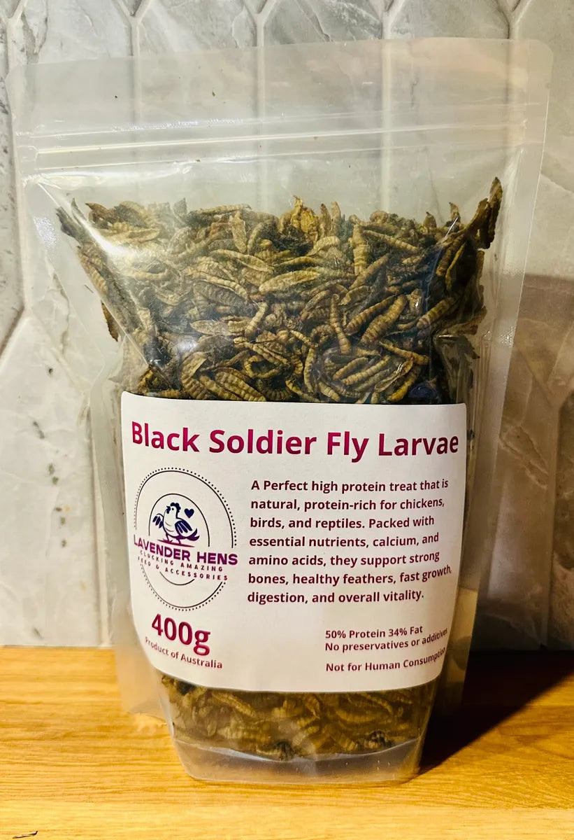 Black Soldier Fly Larvae - 400g
