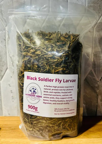 Black Soldier Fly Larvae - 900g