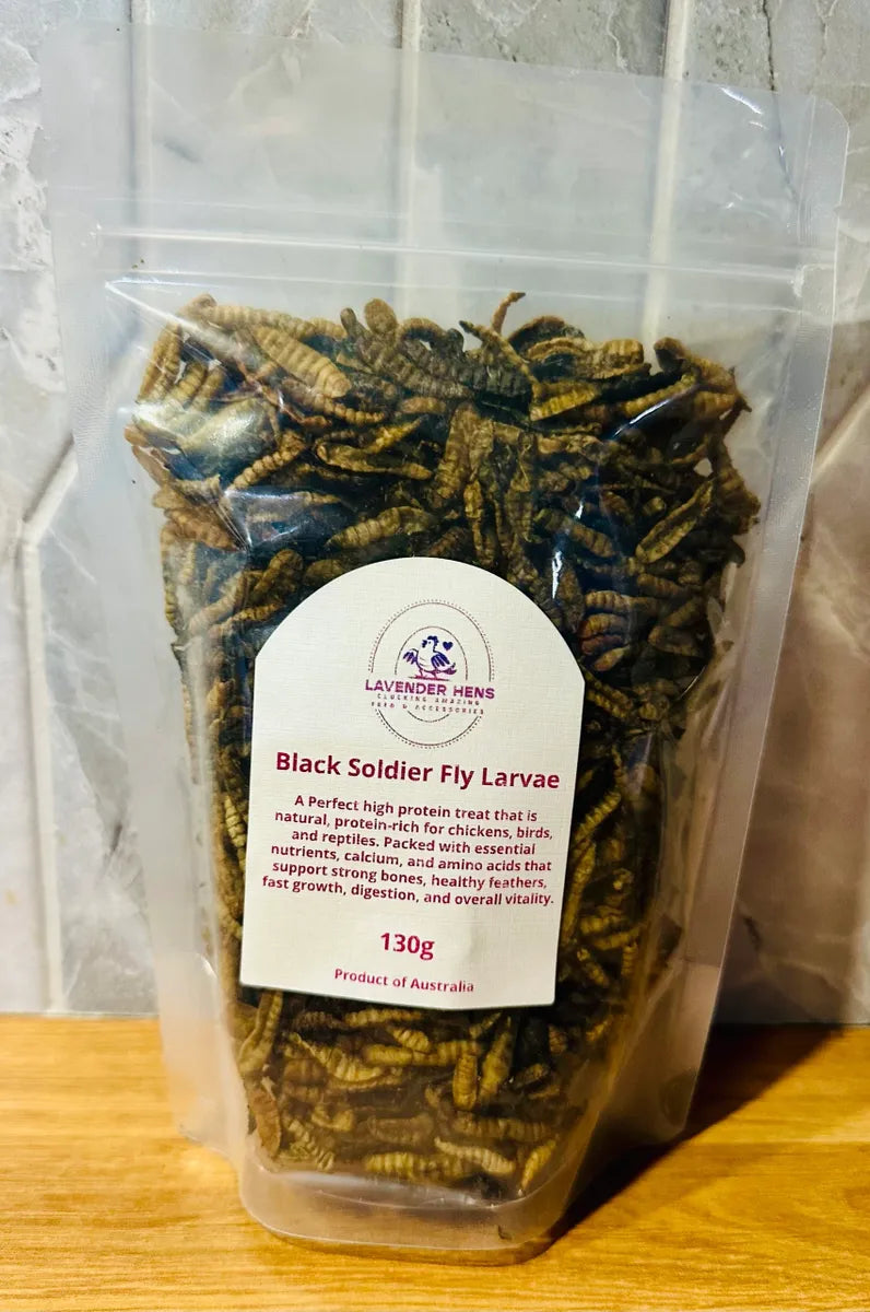 Black Soldier Fly Larvae - 130g