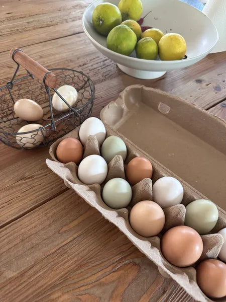 1x Dozen Rainbow Eggs